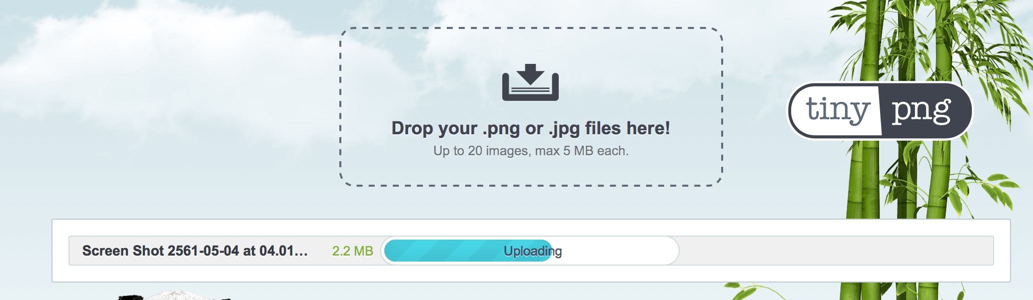 ขั้นตอนที่ 4 > หลังจากที่เราทำการเลือกรูปเรียบร้อยแล้วรอให้ TINYPNG ได้ทำการย่อรูปจร้า TINY PNG แพนด้าย่อรูป