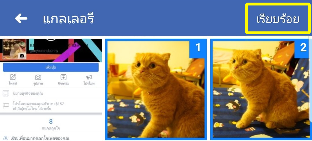 สร้างอัลบั้มรูปในเพจ