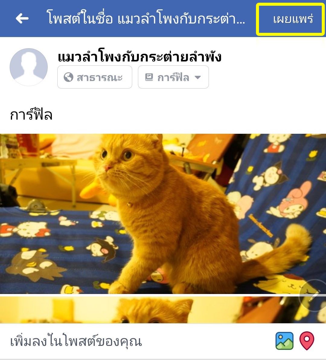 สร้างอัลบั้มรูปในเพจ