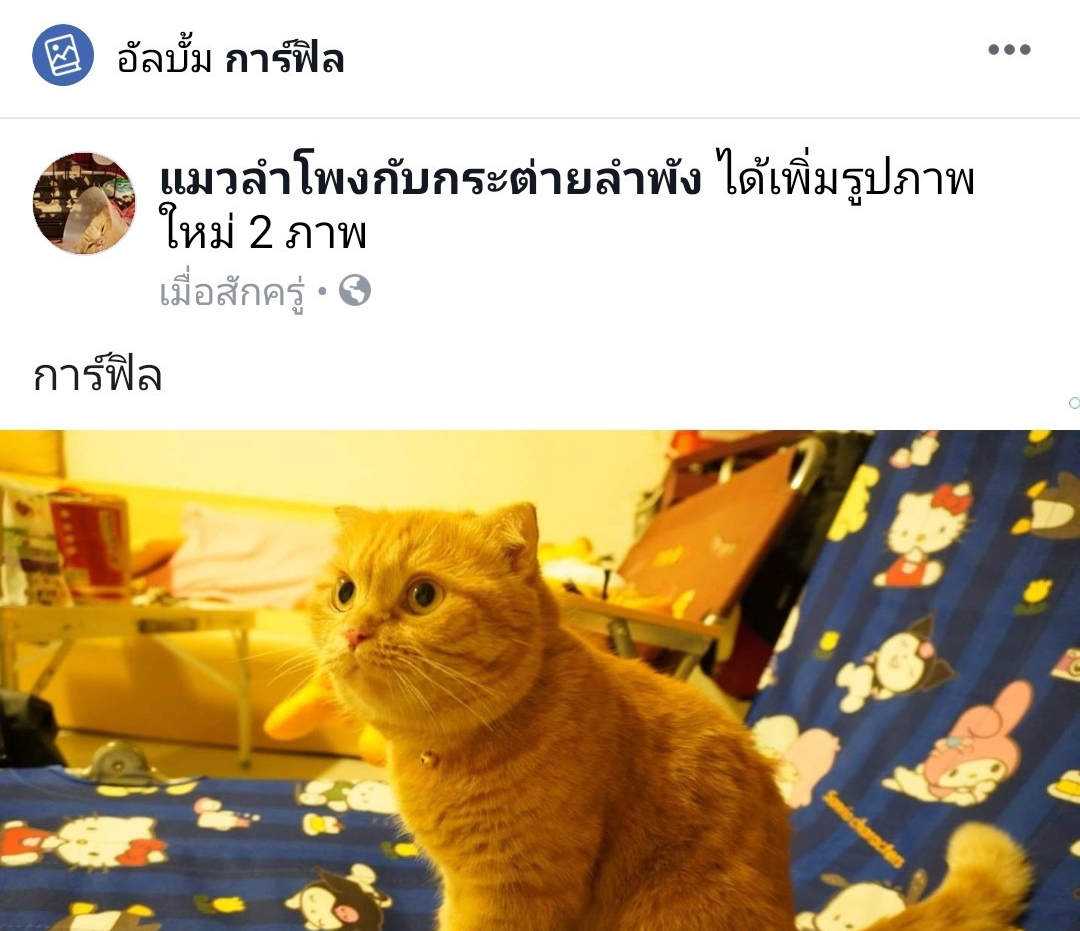 สร้างอัลบั้มรูปในเพจ